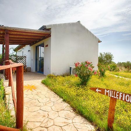 Agriturismo Mieleamaro Villa Olbia Eksteriør billede