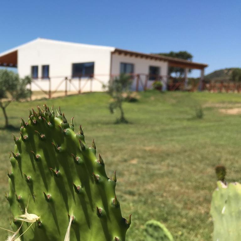 Agriturismo Mieleamaro Villa Olbia Eksteriør billede