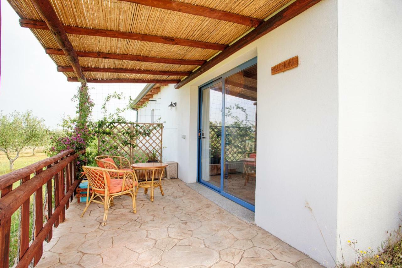 Agriturismo Mieleamaro Villa Olbia Eksteriør billede